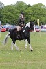 thornton-le-dale-gala showclass7acharity25-5-20167